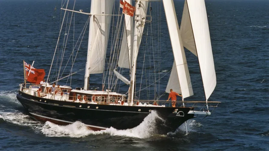 Reesle at the yard